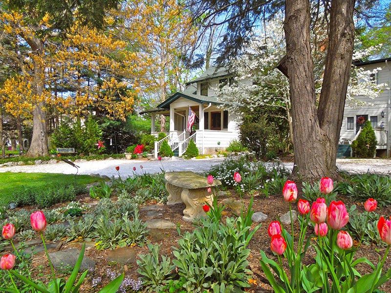 Oakland Cottage in spring with tulips in the front garden